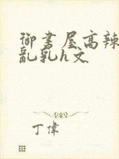 御书屋高辣h文乱乳h文
