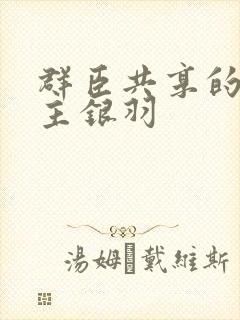 群臣共享的小公主银羽封面