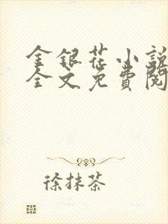 金银花小说在线全文免费阅读封面