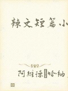 辣文短篇小说