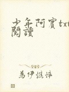 少年阿宾txt阅读