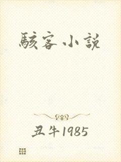 骇客小说封面