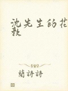 沈先生的花式管教封面
