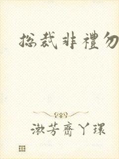 总裁非礼勿碰封面