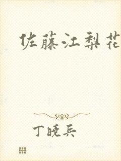 佐藤江梨花封面