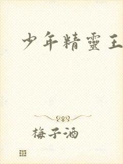 少年精灵王