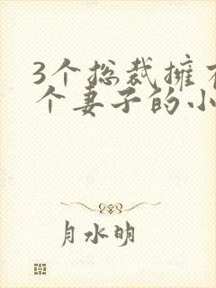 3个总裁拥有一个妻子的小说封面