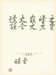 徐大巅峰之路小说全文免费阅读封面