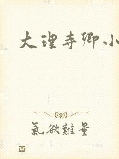 大理寺卿小说