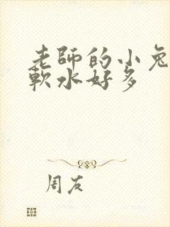老师的小兔子好软水好多