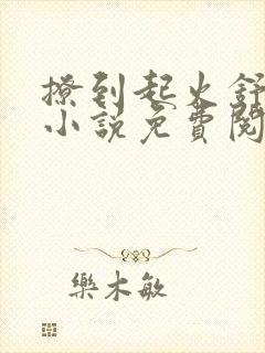 撩到起火舒漾的小说免费阅读全文