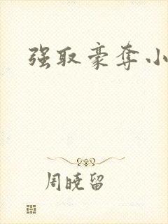 强取豪夺小说封面