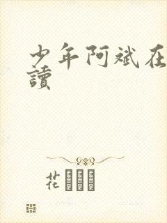 少年阿斌在线阅读