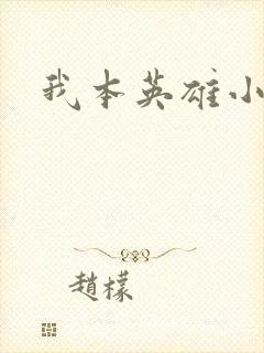 我本英雄小说
