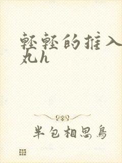 轻轻的推入合欢丸h