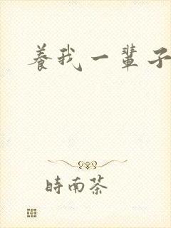 养我一辈子封面
