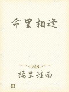 命里相逢封面