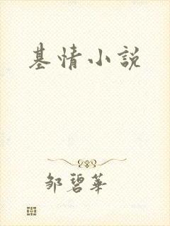 基情小说