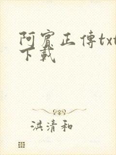 阿宾正传txt下载封面