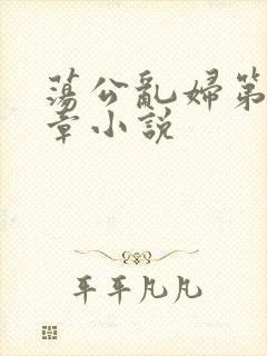 荡公乱妇第51章小说