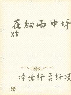 在细雨中呼喊txt