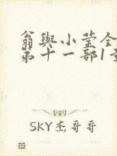 翁与小莹全目录第十一部1章封面