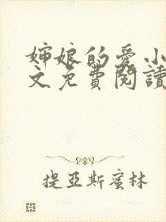 婶娘的爱小说全文免费阅读