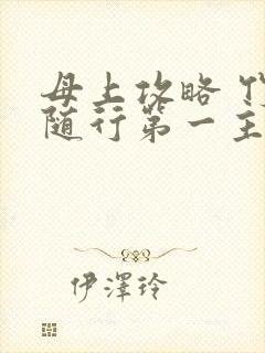 母上攻略 竹影随行第一主板