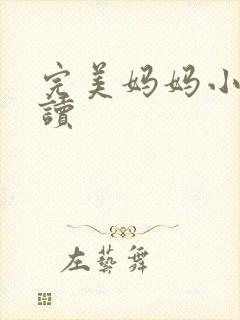 完美妈妈小说阅读封面