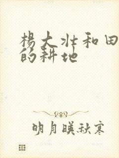 杨大壮和田桂花的耕地