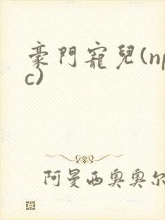 豪门宠儿(npc)