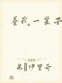 养我一辈子封面
