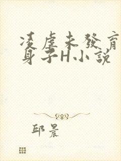 凌虐未发育的小身子H小说
