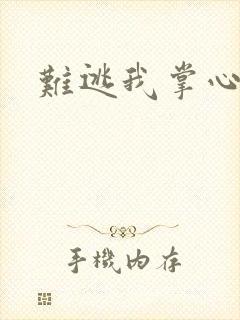 难逃我掌心