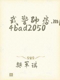 武警帅痞.mp4bad2050封面