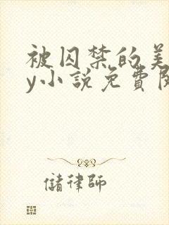 被囚禁的美人by小说免费阅读
