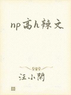 np高h辣文