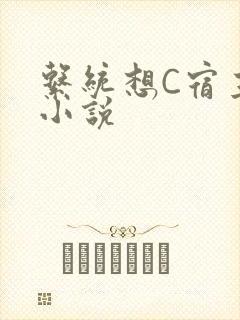 系统想C宿主的小说