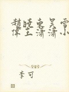 赵晓东吴雪晴郑伟王潇潇小说封面