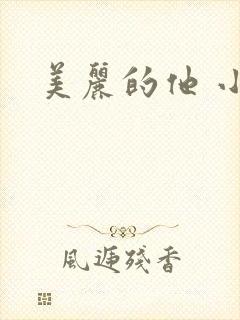 美丽的他 小说