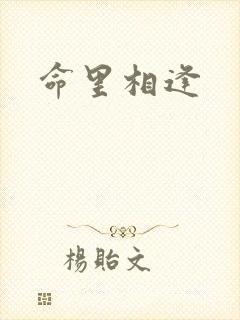 命里相逢封面