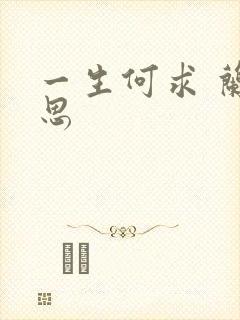 一生何求 兰思思封面