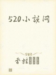 520小说网
