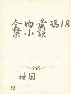 全肉黄码18无禁小说封面