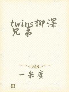twins柳泽兄弟