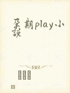 孕期play小说