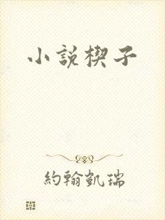 小说楔子封面