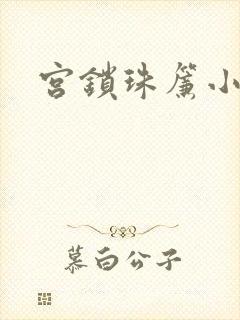 宫锁珠帘小说