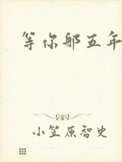 等你那五年