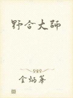 野合大师封面